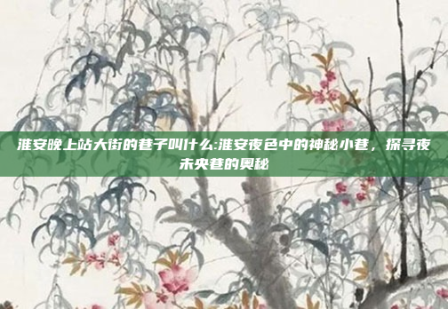 淮安晚上站大街的巷子叫什么:淮安夜色中的神秘小巷，探寻夜未央巷的奥秘