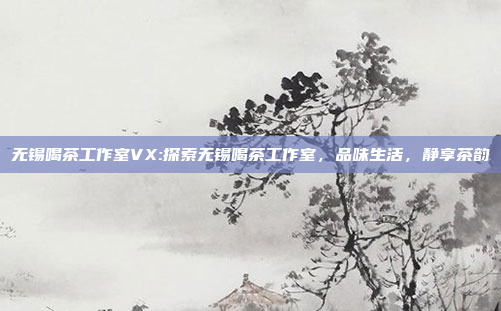 无锡喝茶工作室VX:探索无锡喝茶工作室，品味生活，静享茶韵