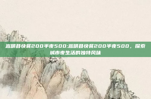 嵩明县快餐200半夜500:嵩明县快餐200半夜500，探索城市夜生活的独特风味