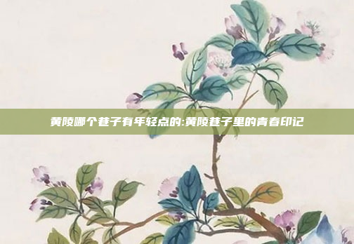 黄陵哪个巷子有年轻点的:黄陵巷子里的青春印记