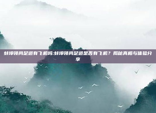 蚌埠领尚足道有飞机吗:蚌埠领尚足道是否有飞机？揭秘真相与体验分享