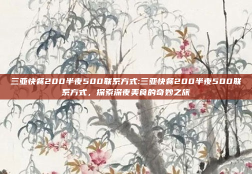 三亚快餐200半夜500联系方式:三亚快餐200半夜500联系方式，探索深夜美食的奇妙之旅