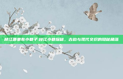 枝江哪里有小巷子:枝江小巷探秘，古韵与现代交织的隐秘角落