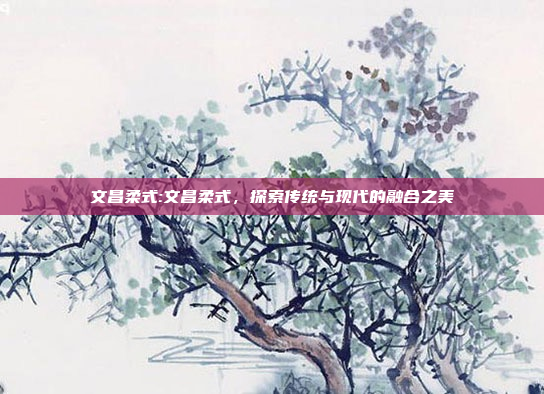 文昌柔式:文昌柔式，探索传统与现代的融合之美