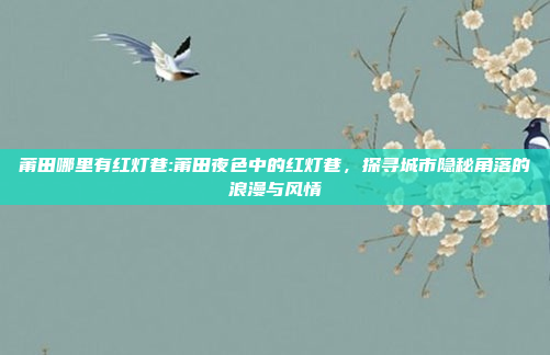 莆田哪里有红灯巷:莆田夜色中的红灯巷，探寻城市隐秘角落的浪漫与风情