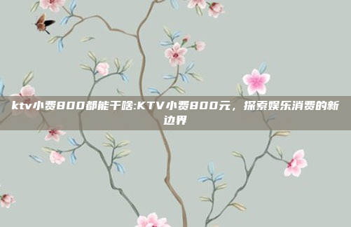 ktv小费800都能干啥:KTV小费800元，探索娱乐消费的新边界