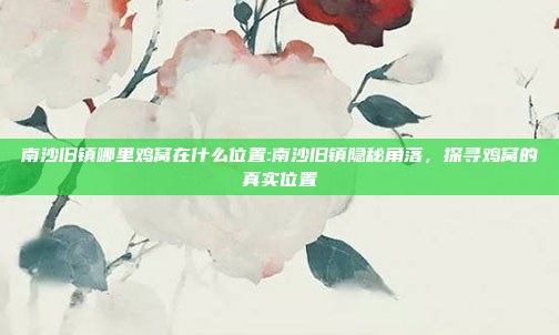 南沙旧镇哪里鸡窝在什么位置:南沙旧镇隐秘角落，探寻鸡窝的真实位置