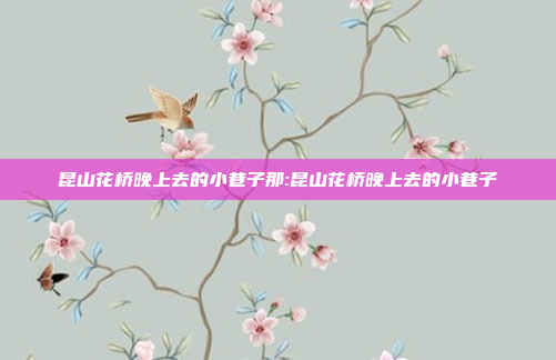 昆山花桥晚上去的小巷子那:昆山花桥晚上去的小巷子