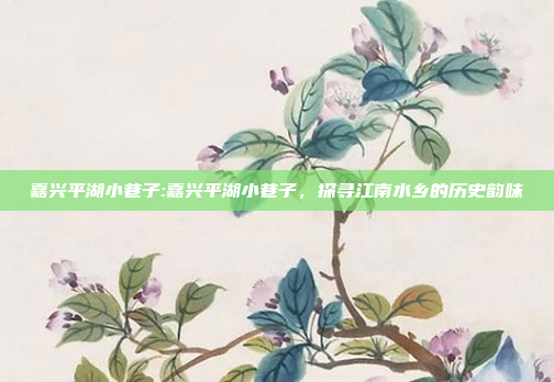 嘉兴平湖小巷子:嘉兴平湖小巷子，探寻江南水乡的历史韵味