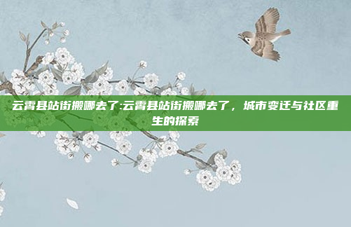 云霄县站街搬哪去了:云霄县站街搬哪去了，城市变迁与社区重生的探索