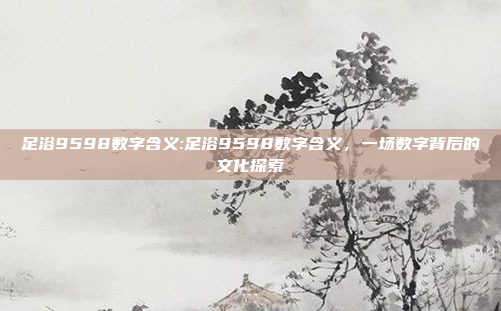 足浴9598数字含义:足浴9598数字含义，一场数字背后的文化探索