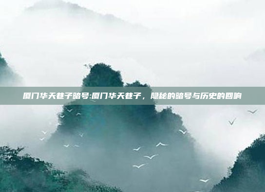 厦门华天巷子暗号:厦门华天巷子，隐秘的暗号与历史的回响