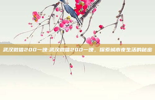 武汉微信200一晚:武汉微信200一晚，探索城市夜生活的秘密