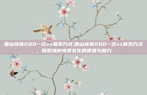 鲁山快餐200一次vx联系方式:鲁山快餐200一次vx联系方式，探索城市快餐文化的便捷与魅力