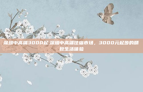 深圳中高端3000起:深圳中高端住宿市场，3000元起步的精致生活体验