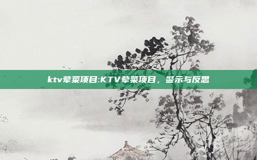 ktv荤菜项目:KTV荤菜项目，警示与反思