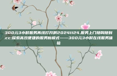 300元3小时服务再线打开啊20241124.服务上门随叫随到.cc:探索高效便捷的服务新模式——300元3小时在线服务体验