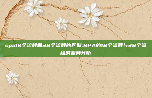 spa18个流程和38个流程的区别:SPA的18个流程与38个流程的差异分析