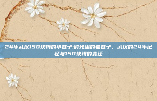 24年武汉150块钱的小巷子:时光里的老巷子，武汉的24年记忆与150块钱的变迁