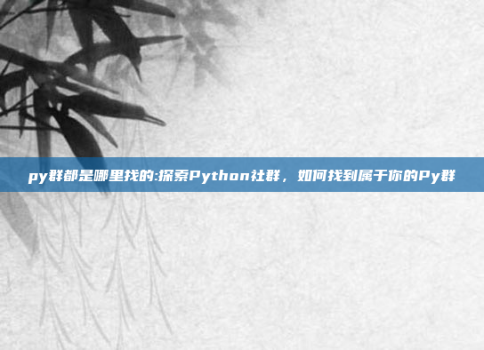 py群都是哪里找的:探索Python社群，如何找到属于你的Py群