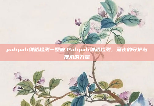 palipali线路检测一整晚:Palipali线路检测，深夜的守护与技术的力量