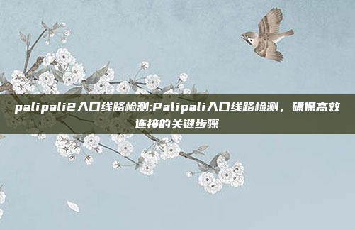 palipali2入口线路检测:Palipali入口线路检测，确保高效连接的关键步骤