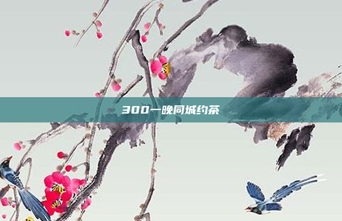 300一晚同城约茶